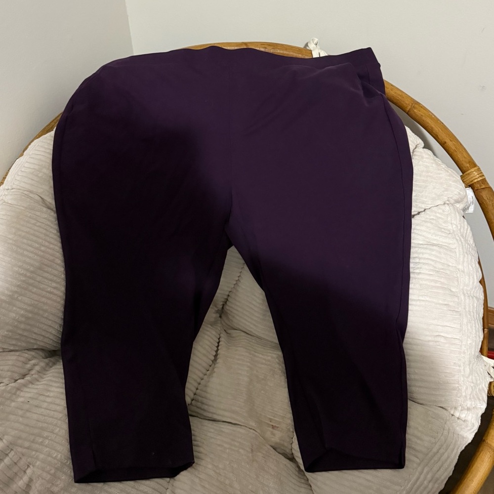 Torrid Purple Women's Pants